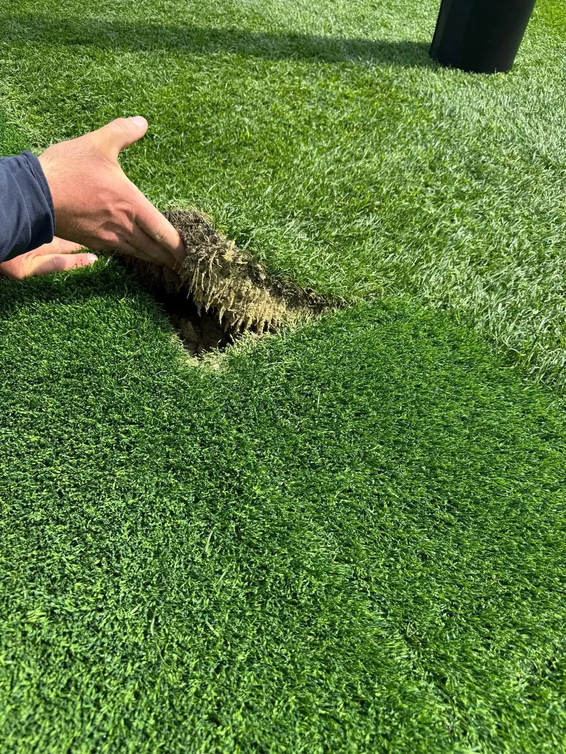 Close-up of hybrid synthetic grass construction — JL Turf Group
